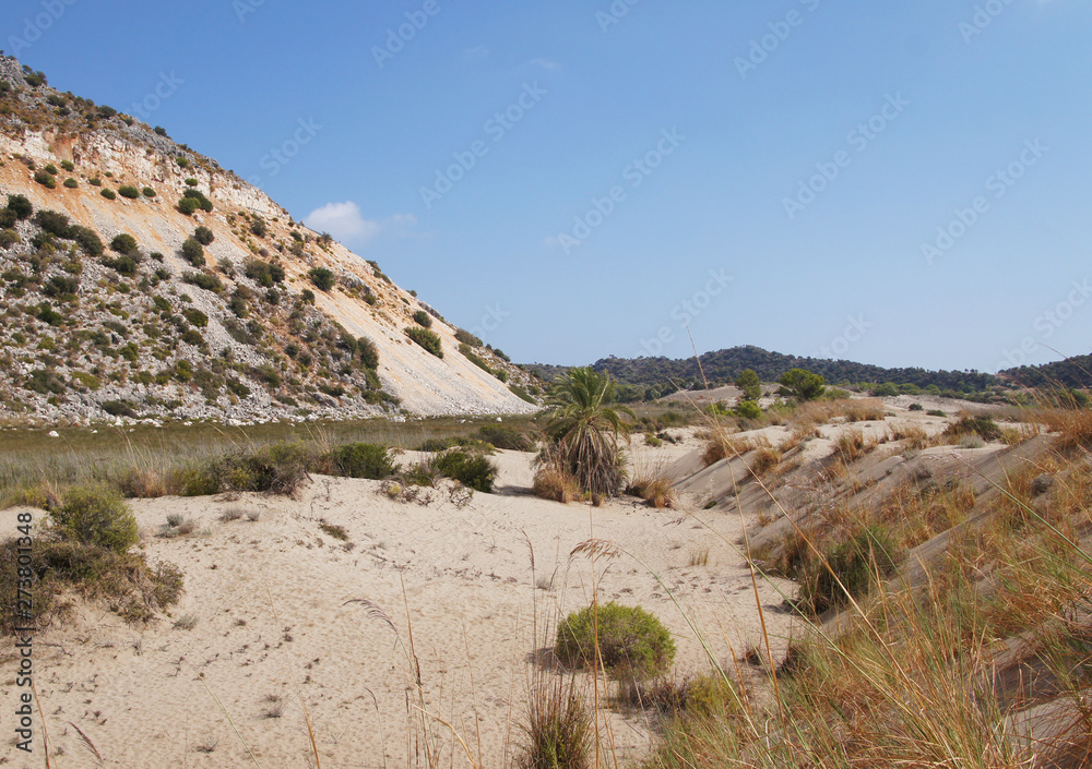 Sandy desert dunes. Southern landscape without water. Sandy desert dunes. Southern landscape without water.