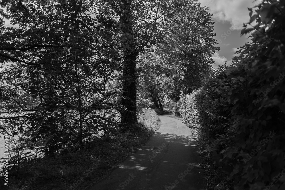 Obraz premium Knoops Park