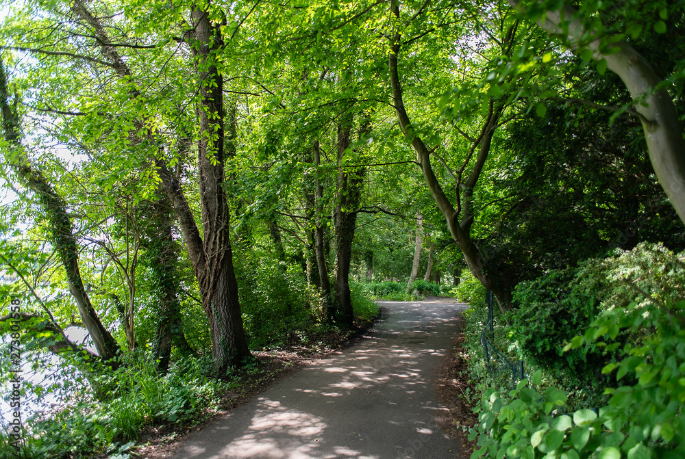 Obraz premium Knoops Park