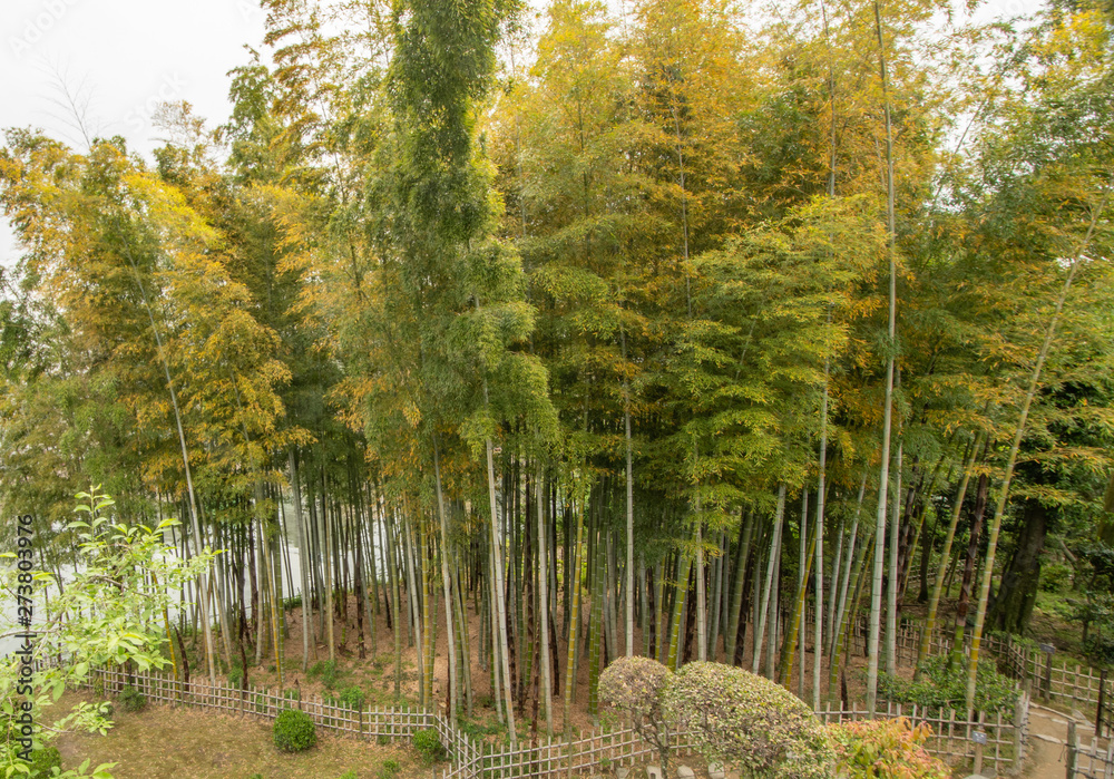 Fototapeta premium Der Shukkei-en Garten in Hiroshima 