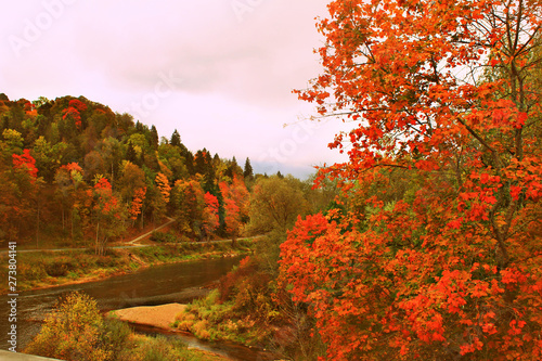 beautiful autumn nature amazing view