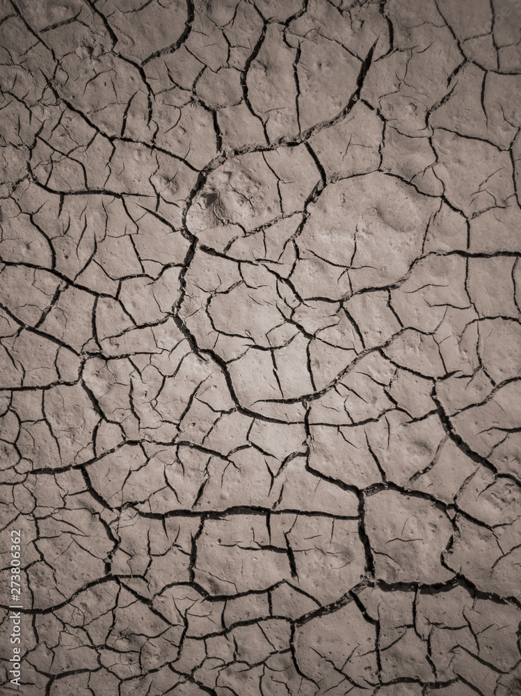 Fototapeta premium Tekstura suchej popękanej ziemi. Tło pustyni. Globalny niedobór wody. Głębokie pęknięcia w ziemiach brunatnych jako symbol gorącego klimatu i suszy.