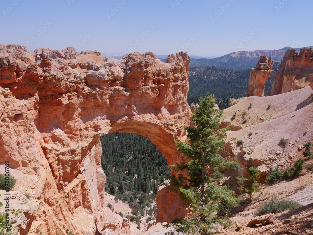 The Natural Bridge carved out of sedimentary red rock is one of the top attractions at Bryce Canyon National Park in Utah.