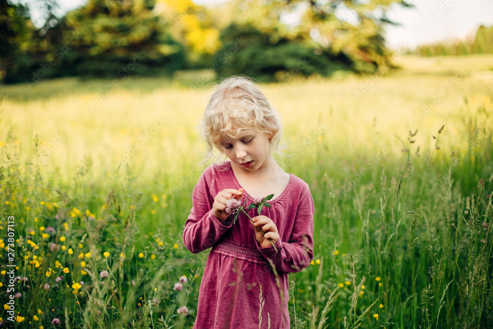 Cute blonde Caucasian girl in red pink dress standing in tall grass in meadow field outdoor and holding clover flower. Happy child kid enjoying summer at sunset. Lifestyle authentic childhood. Cute blonde Caucasian girl in red pink dress standing in tall grass in meadow field outdoor and holding clover flower. Happy child kid enjoying summer at sunset. Lifestyle authentic childhood.