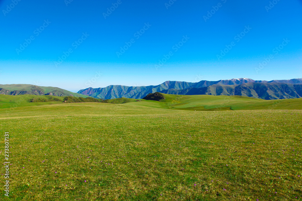Path through the mountains and green meadows. Hiking in the mountains. Tourist background. Mountain and hills landscape. Alpine meadows.