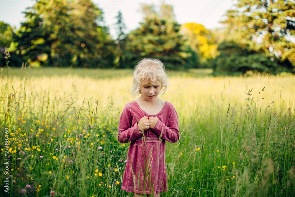 Little sad unhappy blonde Caucasian girl in tall high grass on meadow at sunset. Lonely feared scared upset child kid looks at something below on ground. Lifestyle authentic childhood. Little sad unhappy blonde Caucasian girl in tall high grass on meadow at sunset. Lonely feared scared upset child kid looks at something below on ground. Lifestyle authentic childhood.