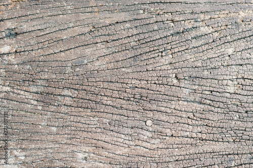 old wood texture