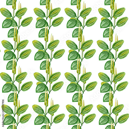 Hand drawn pattern seamless watercolor drawing of plantain with yellow flowers and green leaves isolated on white backdrop.Wildflower for background  texture  wrapper pattern  frame or border