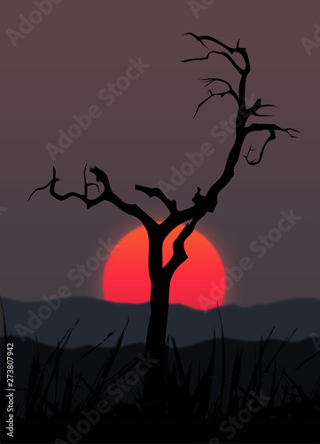 Dry tree on the sun background
