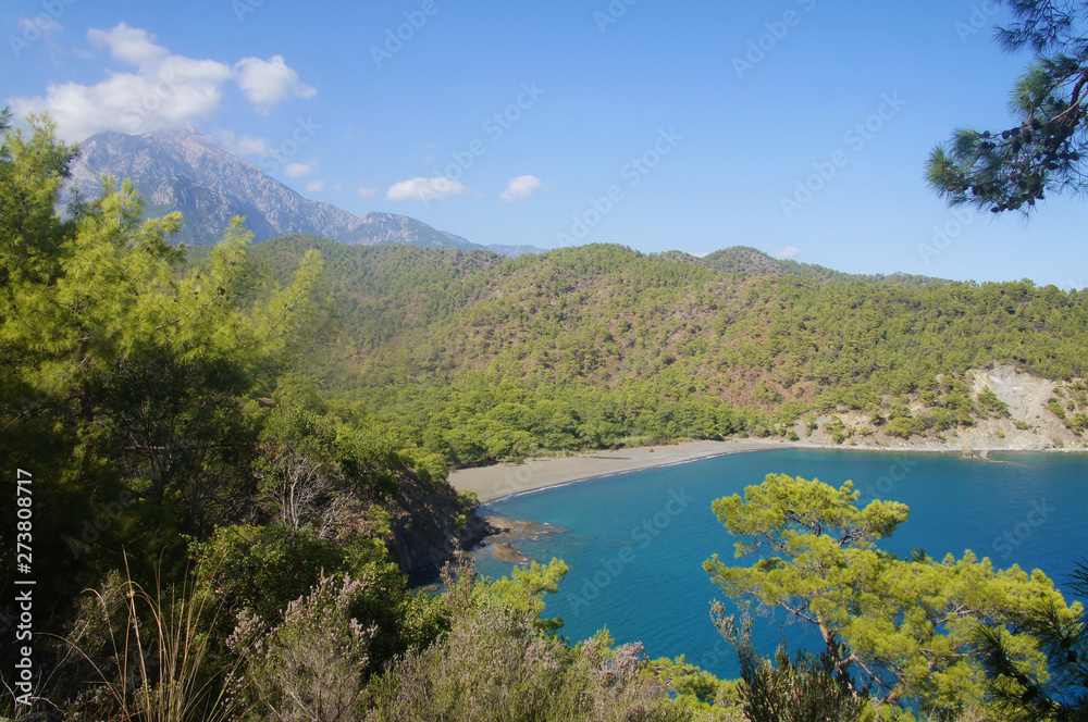Beautiful summer seascape. Mountain coast of the blue sea. Rocks and forest near the ocean coast. Beautiful summer seascape. Mountain coast of the blue sea. Rocks and forest near the ocean coast.