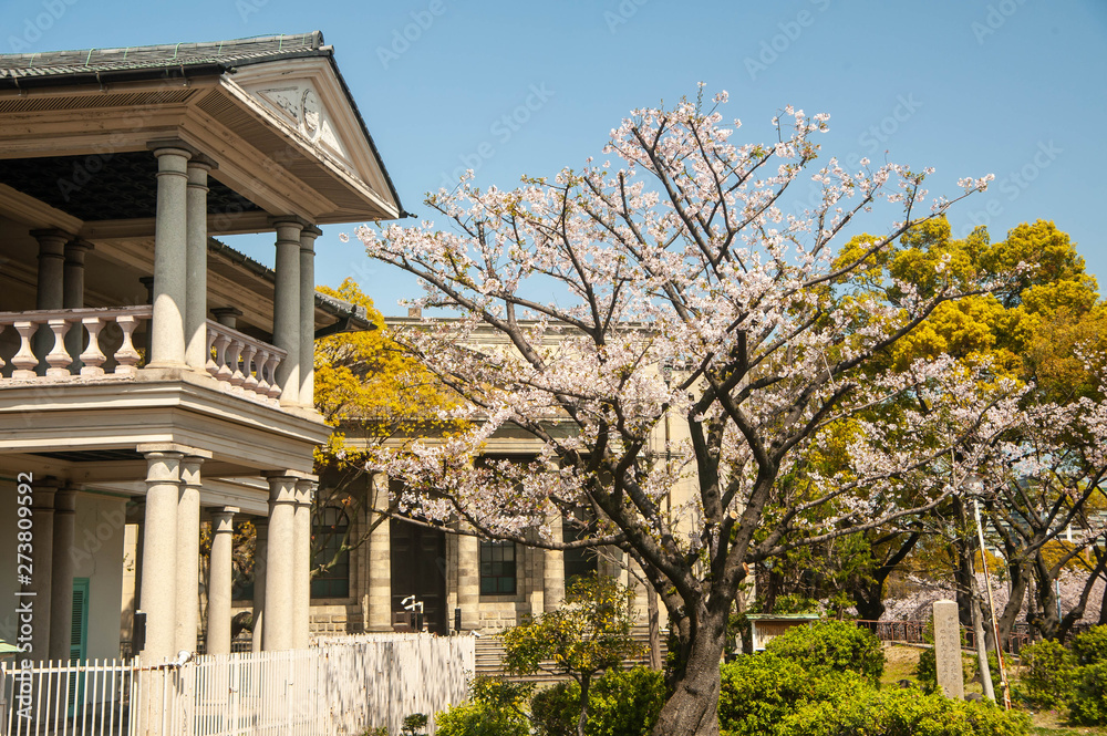 古い洋風建築を彩る桜の花