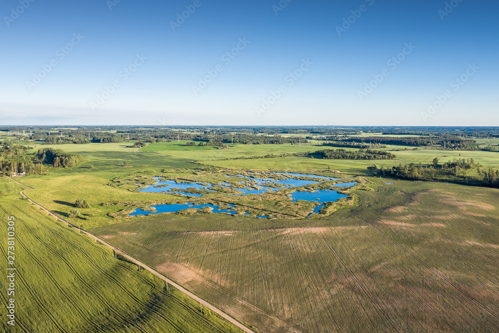 Green fields in summer time near Tukums, Latvia.