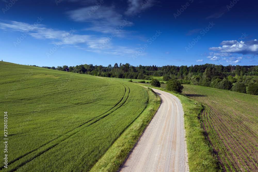 Green fields in summer time near Tukums, Latvia. Green fields in summer time near Tukums, Latvia.