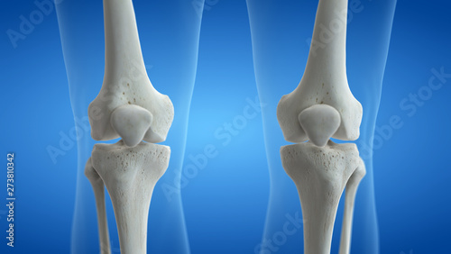 Foto 3d rendered medically accurate illustration of the knees