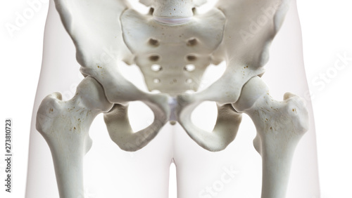 3d rendered medically accurate illustration of the sacrum