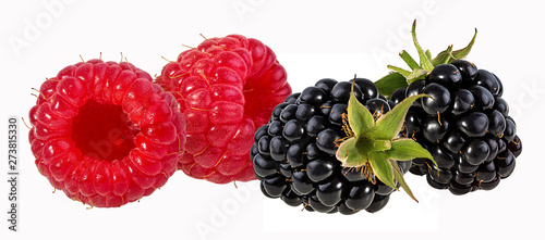 Fresh raspberry and blackberry isolated on white background