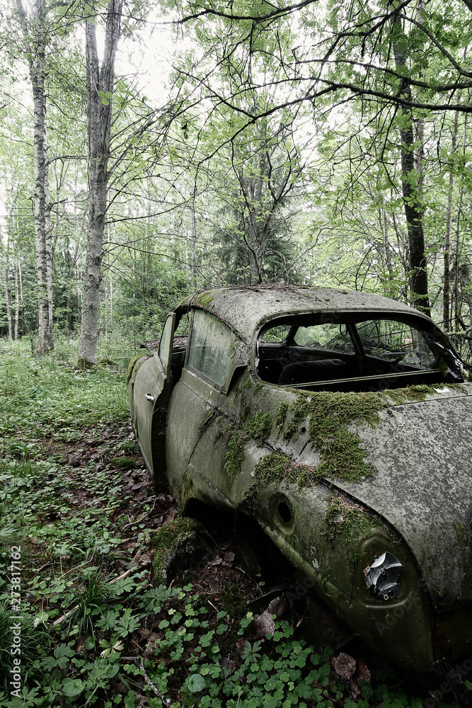 Old, forgotten car in the forest in Southern Finland. Old, forgotten car in the forest in Southern Finland.