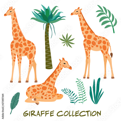 Set of giraffes and tropical leaves. Trendy vector illustration.