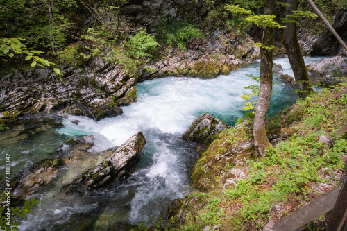 hiking in scenic valley of vintgar gorge in slovenia