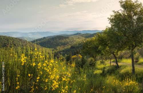 Tuscany sunny landscape. Typical for the region tuscan farm house  hills  vineyard. Italy