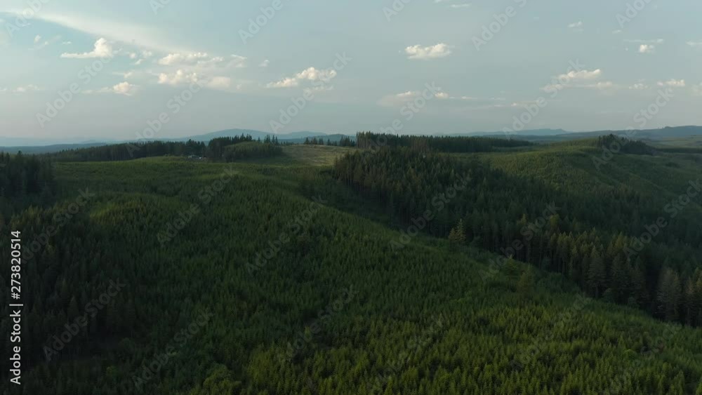 Clackamas River with green forest during a sunset. Clackamas River with green forest during a sunset.