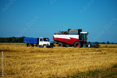 Machines harvesting wheat in the field in autumn.
