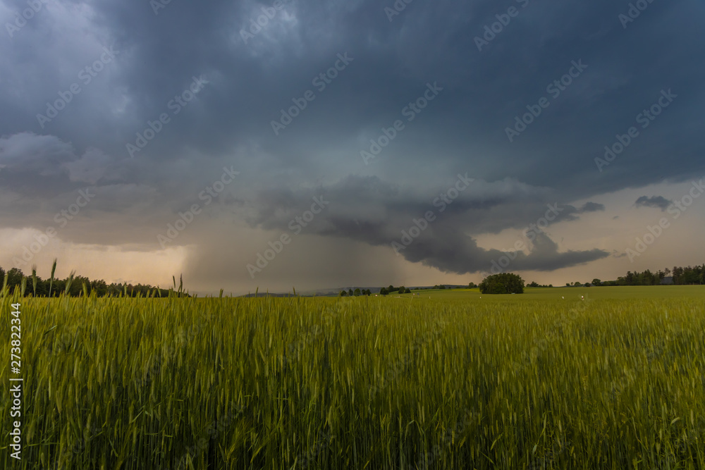 supercell dark clouds rain. over the green field