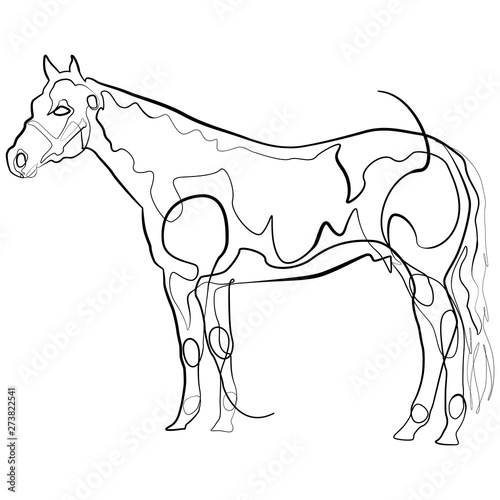 Horse one line drawing. Line Art Riding Vector Illustration