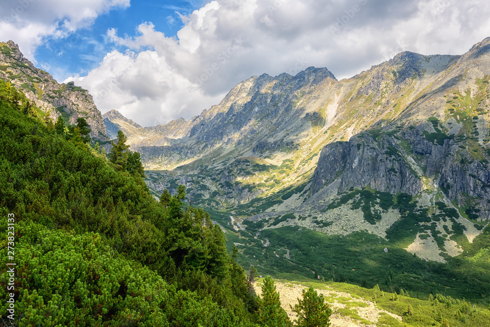 Tourist route in summer High Tatra mountains, scenic landscape with rocks, green trees and blue cloudy sky, outdoor travel background, Strbske Pleso region, Slovakia (Slovensko) Tourist route in summer High Tatra mountains, scenic landscape with rocks, green trees and blue cloudy sky, outdoor travel background, Strbske Pleso region, Slovakia (Slovensko)