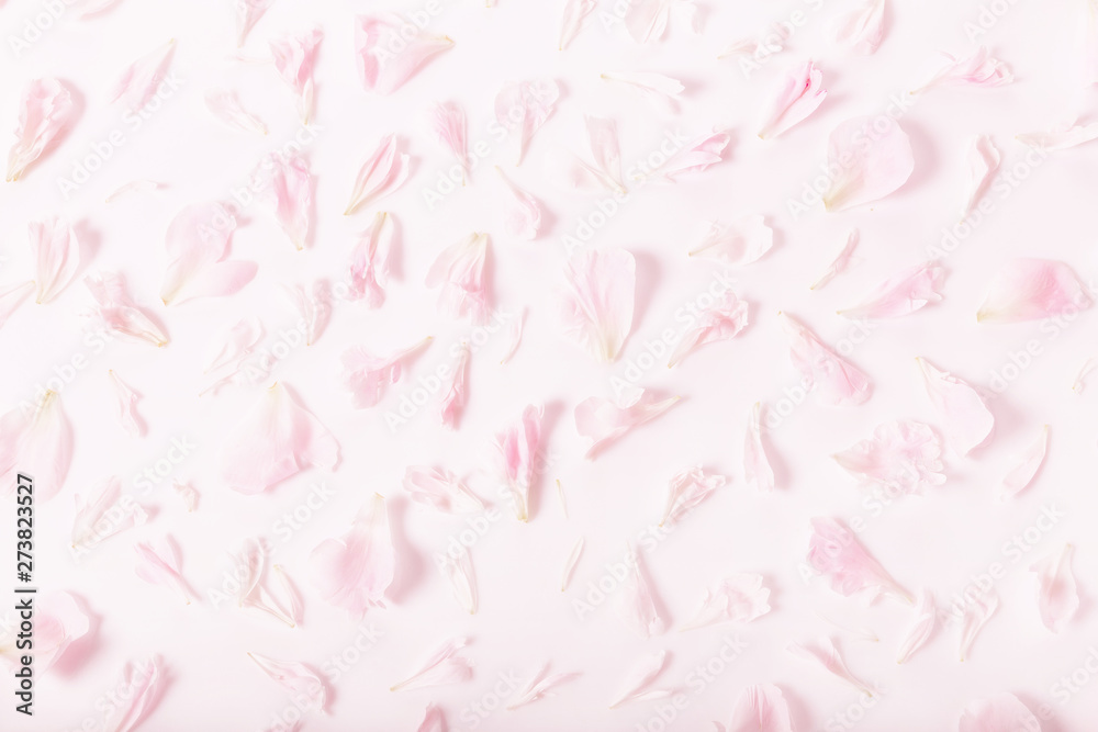 Flowers composition. Rose flower petals. Flat lay, top view, copy space, square Flowers composition. Rose flower petals. Flat lay, top view, copy space, square