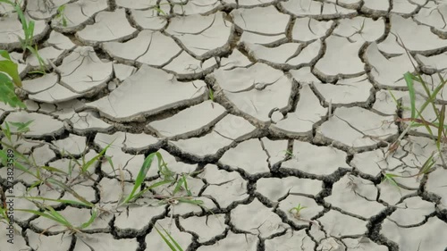 Closeup of dry farming land. Dried out soil as a result of drought. Failed crop because of global warming and climate change.