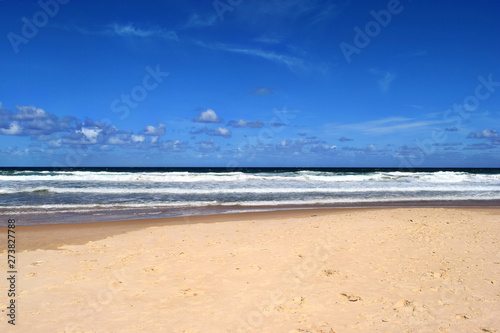  An Amazing Alexandria Bay Noosa National Park