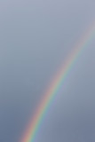 Rainbow Meppel Netherlands