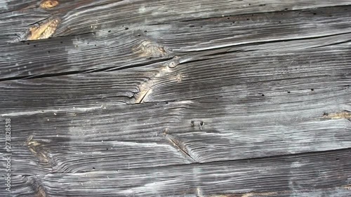 texture retro wood gray old board