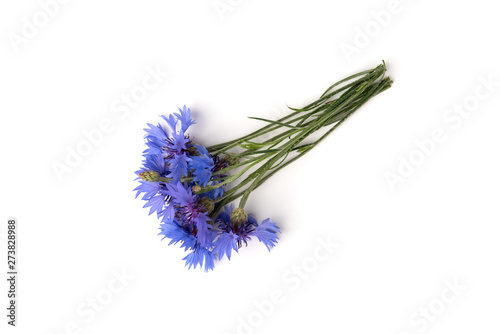 Blue cornflowers isolated on white background.