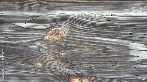 texture retro wood gray old board