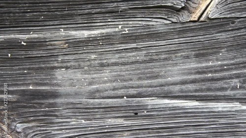 texture retro wood gray old board
