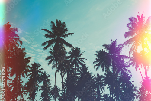 Palm trees on ocean island beach vintage toned with film distress flare © nevodka.com