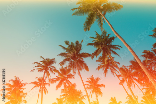Palm trees on beach vintage toned with film distress flare © nevodka.com