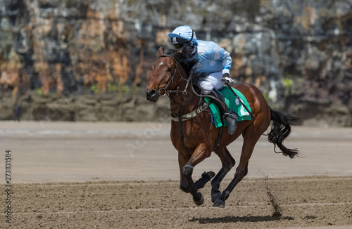 Close up on single racehorse and jockey galloping on the beach, Horse racing action on the beach