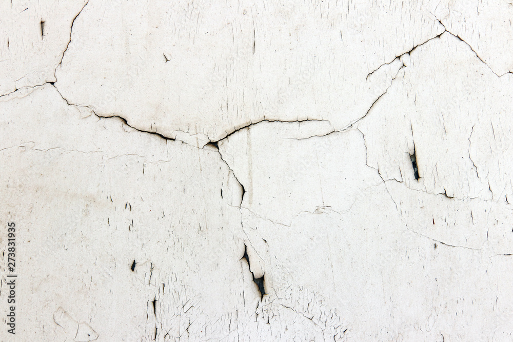 Obraz premium Fine cracks ion the surface