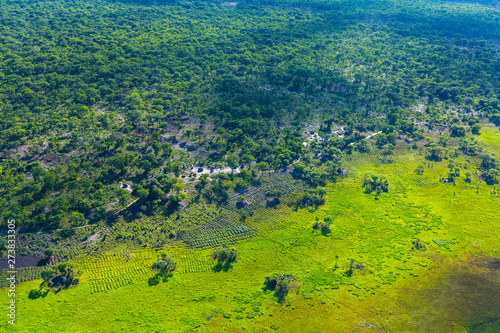 Kasanka National Park, Serenje, Provincia central, Zambia, Africa photo