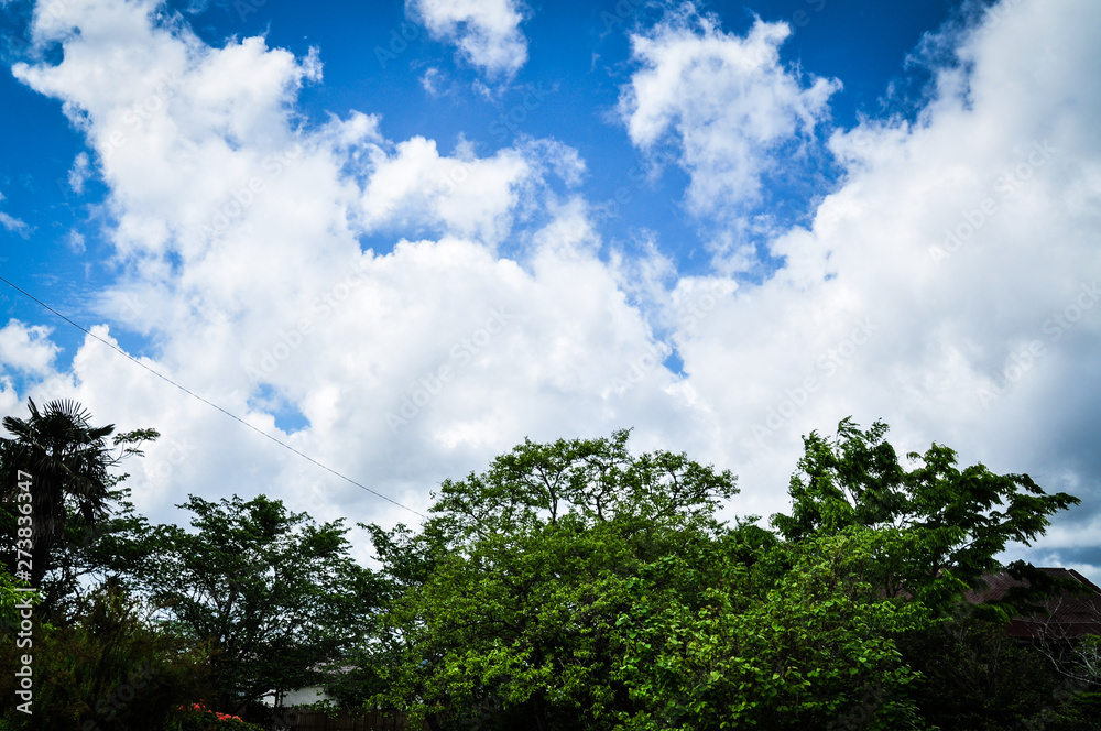 Blue sky and white cloud, Ichihara, Chiba, Japan Blue sky and white cloud, Ichihara, Chiba, Japan