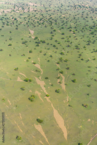 Kasanka National Park, Serenje, Provincia central, Zambia, Africa photo