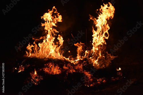 The flames of a bonfire