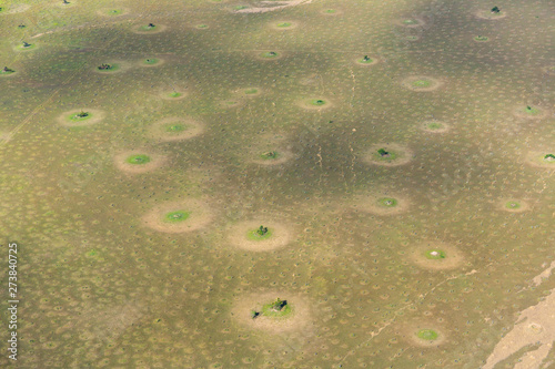 Kasanka National Park, Serenje, Provincia central, Zambia, Africa photo