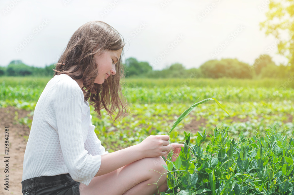 Teen girl touches hands with green plants in the garden. Care of the Environment. Ecology concept Teen girl touches hands with green plants in the garden. Care of the Environment. Ecology concept
