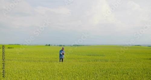 Wallpaper Mural farmer examining agriculture field on farm Torontodigital.ca