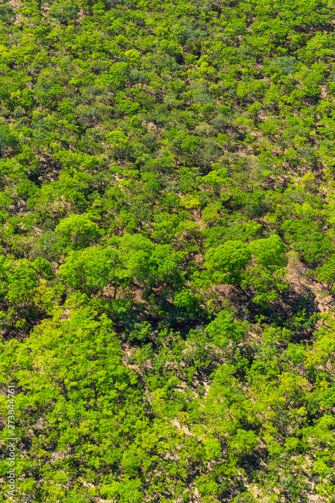 Kasanka National Park, Serenje, Provincia central, Zambia, Africa