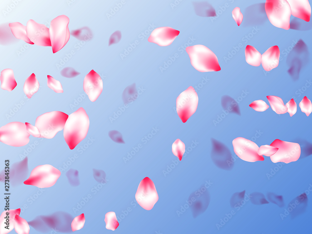 Japanese cherry blossom pink flying petals Japanese cherry blossom pink flying petals